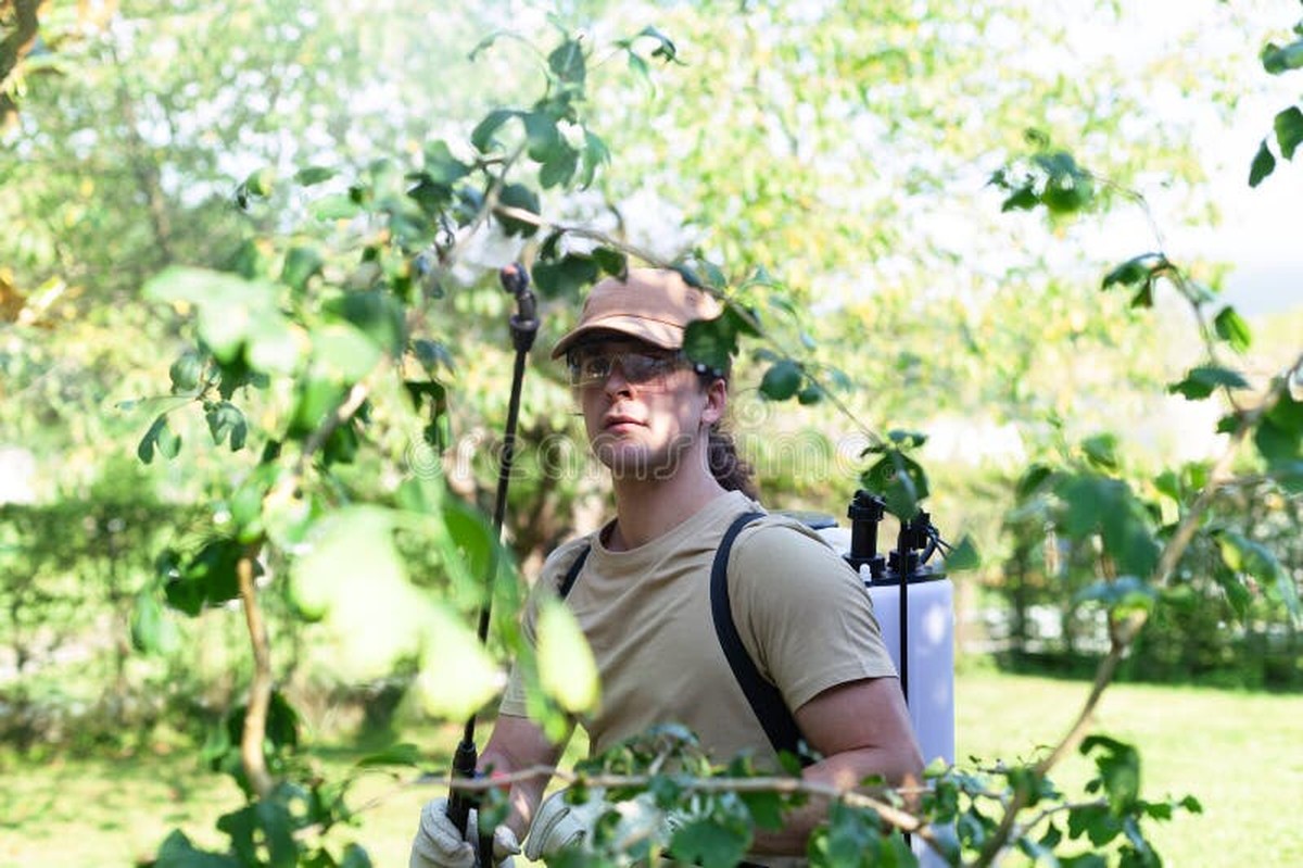 Gärtner warnen: Niemals diese Pflanzenschutzmittel im Frühjahr spritzen - image 1