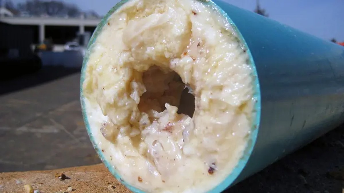 Installateure warnen: Niemals Fett in dieses Rohr gießen - image 1