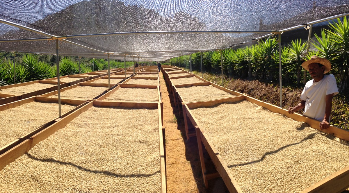 Kaffeesatz hinter dem Heizkörper: Warum Geruchsprobleme sofort verschwinden - image 2