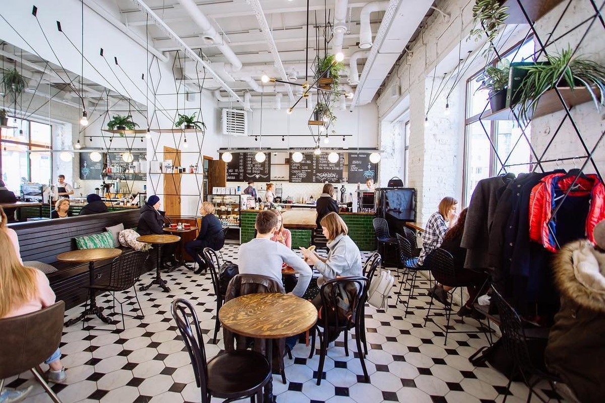 Kaffeesatz im Blumentopf: Warum Gärtner das nie wegwerfen - image 2