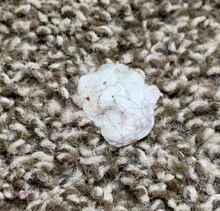 Kaugummi auf dem Teppich? Dieser eine Griff macht es einfach