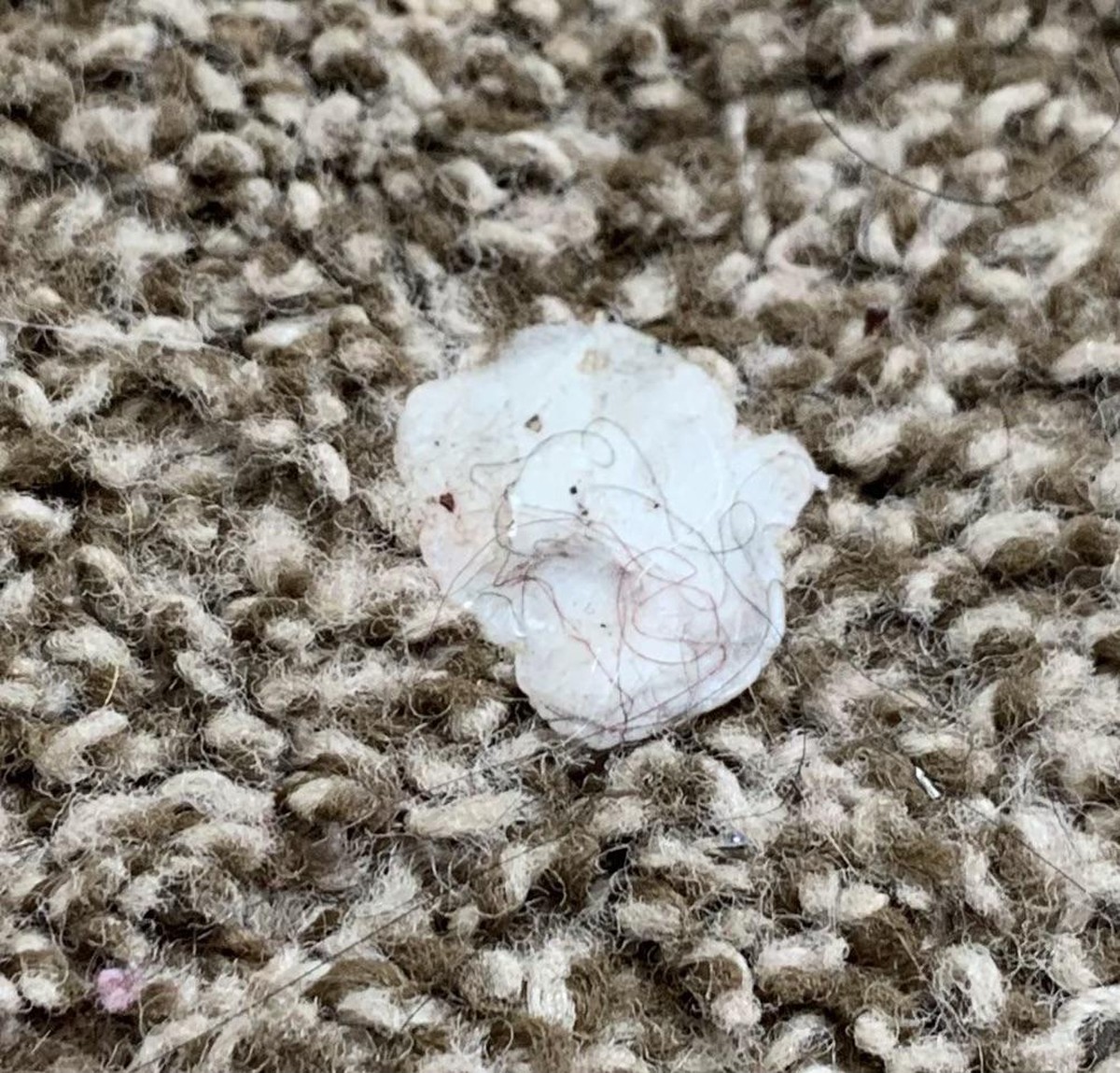 Kaugummi auf dem Teppich? Dieser eine Griff macht es einfach