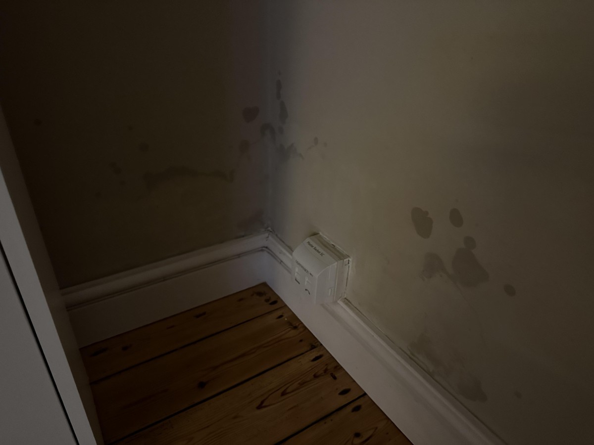 Nachbarin klebt das überall hin – jetzt hat sie nie wieder feuchte Ecken - image 2