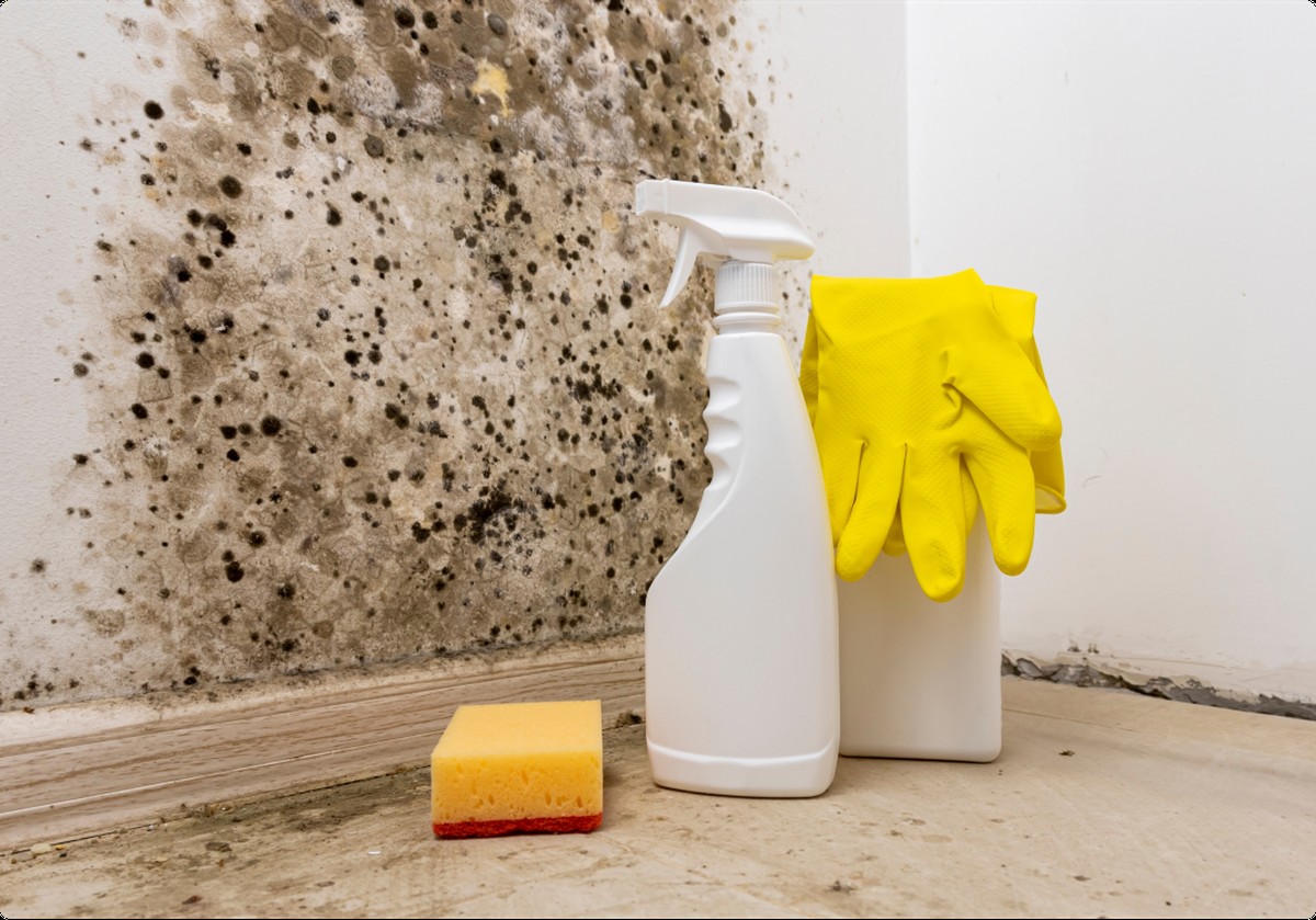 Teelichter in der Küche: Der unerwartete Weg, Schimmel zu bekämpfen - image 1