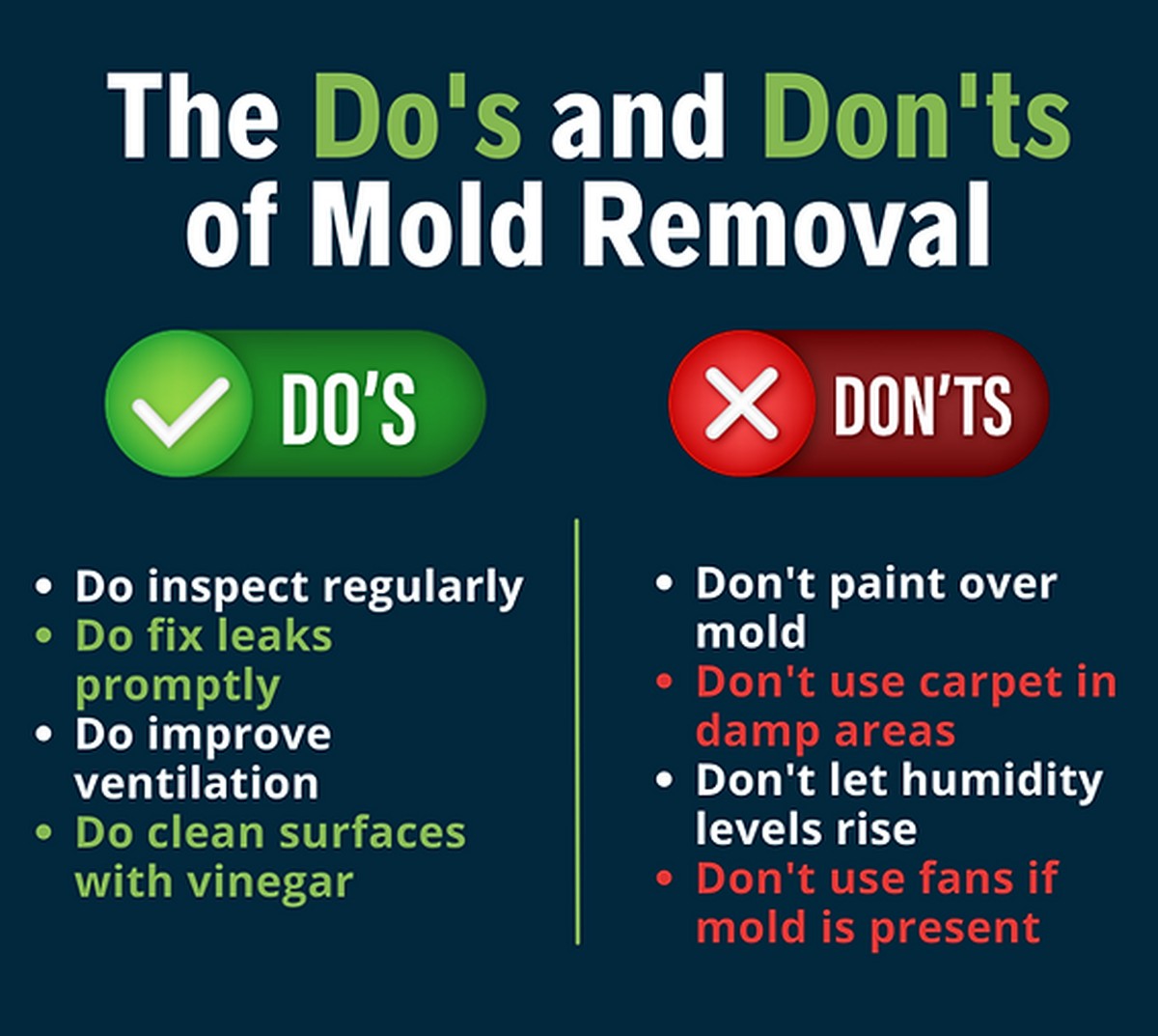 Teelichter in der Küche: Der unerwartete Weg, Schimmel zu bekämpfen - image 2
