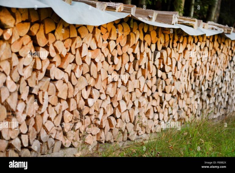 Was Förster dir über Brennholz nicht erzählen – bis jetzt