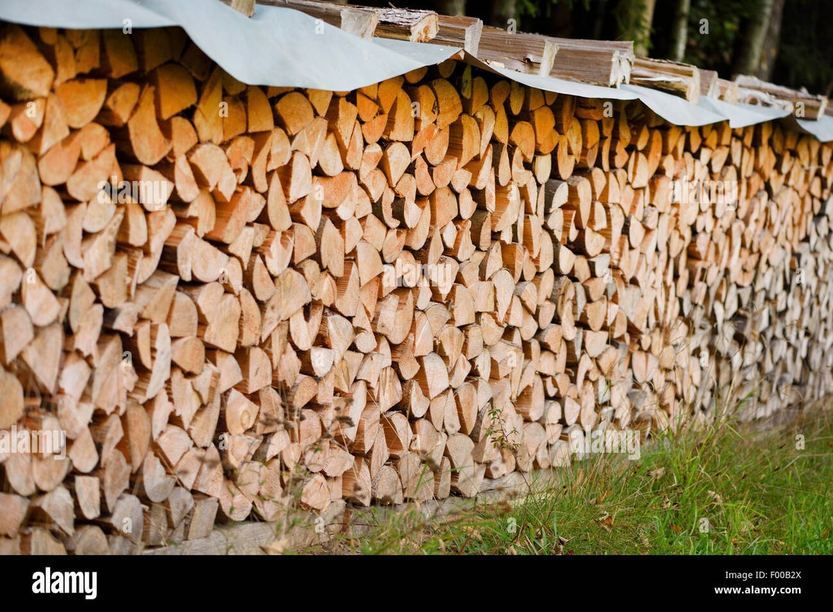 Was Förster dir über Brennholz nicht erzählen – bis jetzt