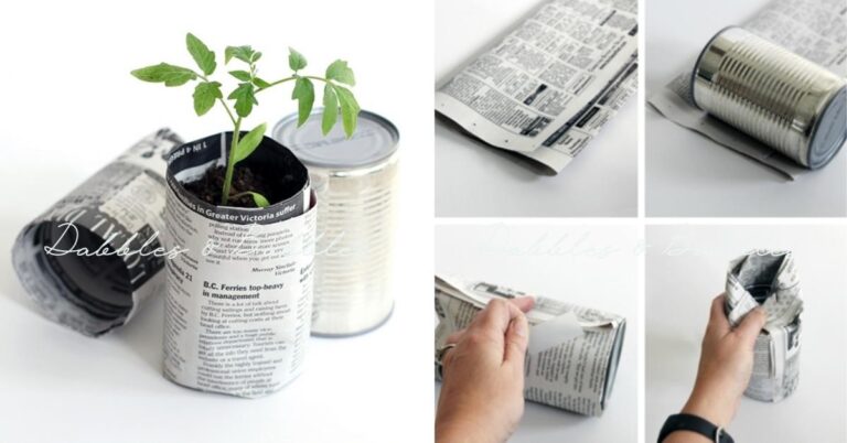 Zeitungspapier unter den Topfpflanzen spart Ihre Böden vor Schimmel