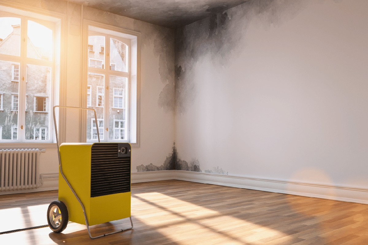 Zeitungspapier unterm Bett: Der alte Trick gegen Feuchtigkeit und Schimmel - image 2