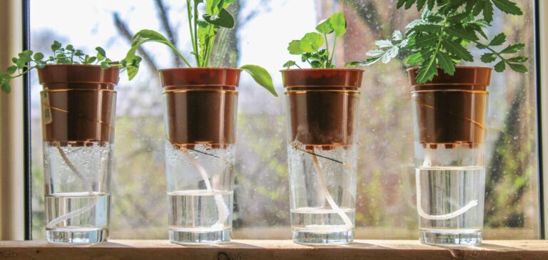 Zeitung unter dem Topfboden – warum das Wasser spart und die Hitze verteilt