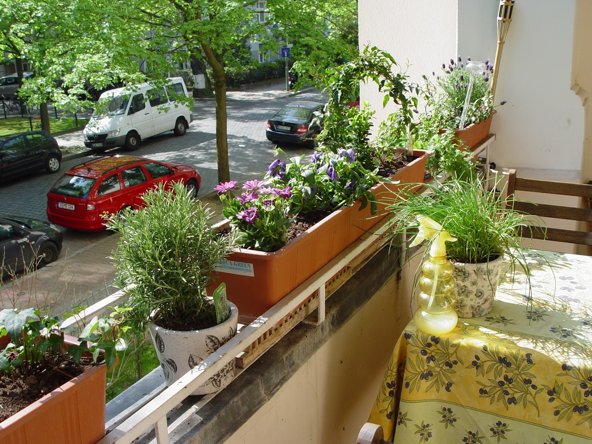 Zeitung unter dem Topfboden – warum das Wasser spart und die Hitze verteilt - image 2