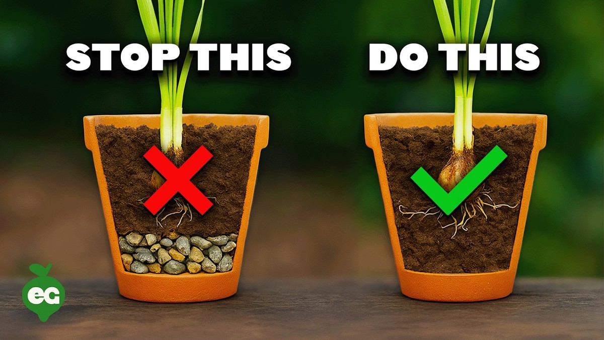 Zeitung unterm Topf – warum französische Köche das beim Gießen nutzen - image 2