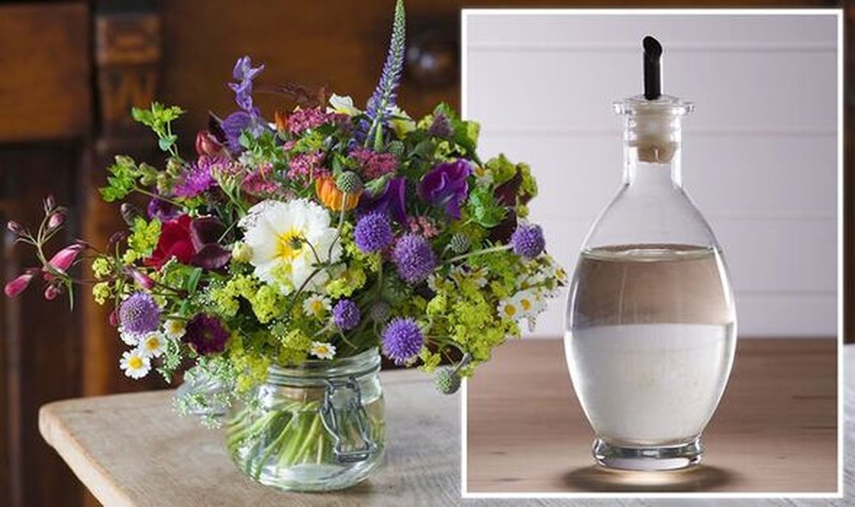 Essig im Blumenwasser: So bleiben Schnittblumen doppelt so lange frisch - image 1