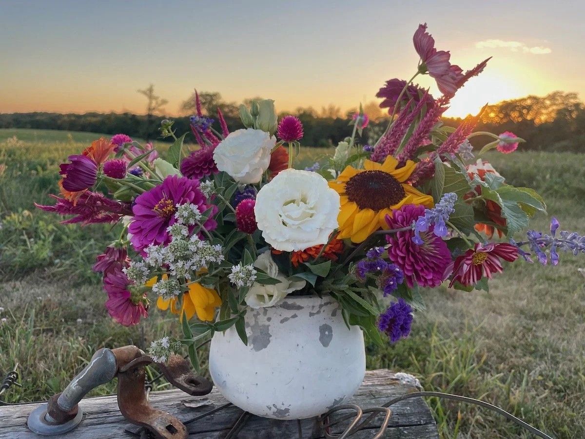 Essig im Blumenwasser verdoppelt die Haltbarkeit – die vergessene Gärtnertechnik - image 2