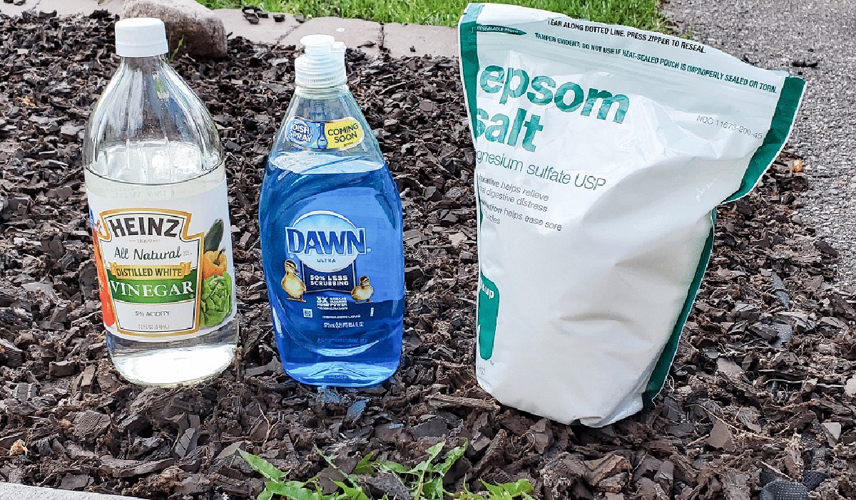 Essig und Salz gegen Unkraut: Die 48-Stunden-Lösung ohne Chemikalien - image 2