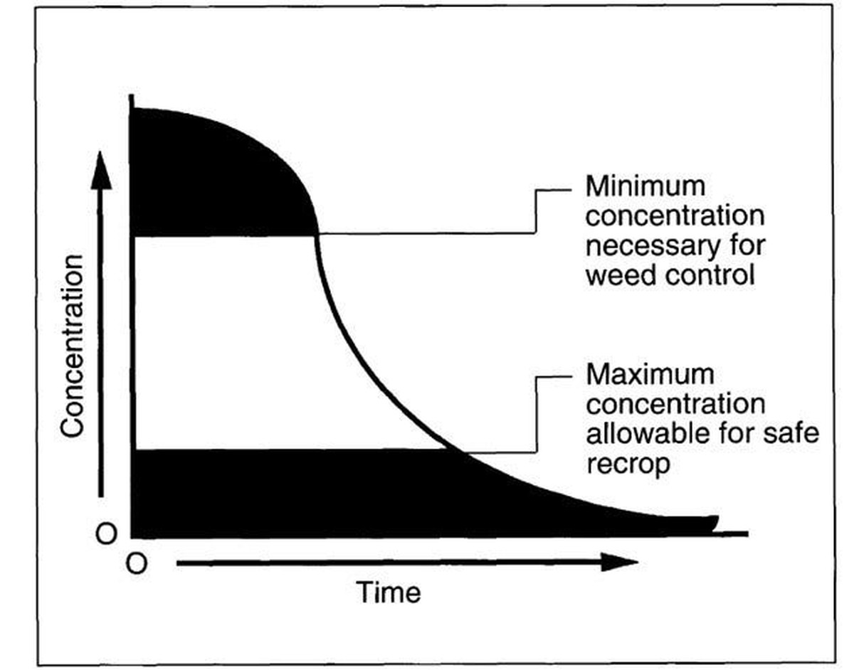 Gärtner warnen: Dieses Unkrautvernichtungsmittel zerstört Ihren Boden für Jahre