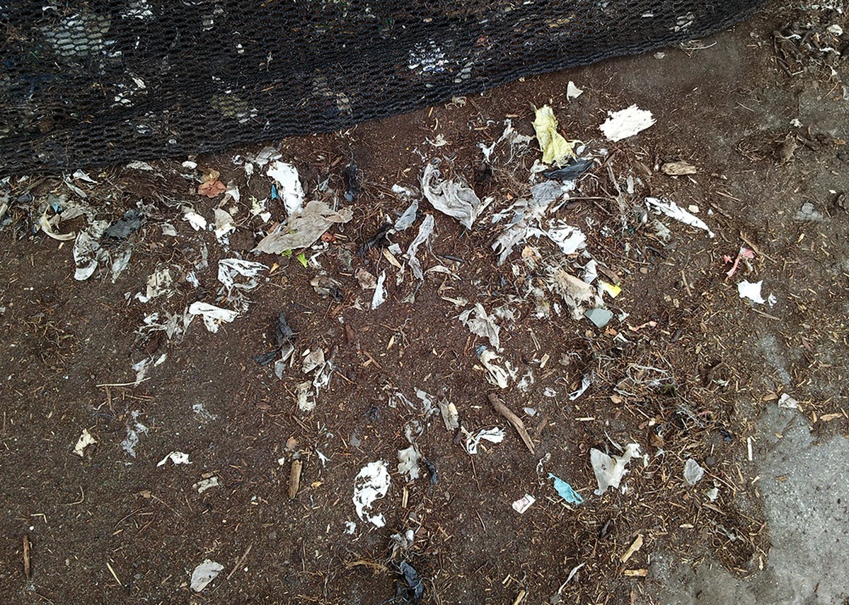 Gärtner warnen: Dieses Unkrautvernichtungsmittel zerstört Ihren Boden für Jahre - image 1