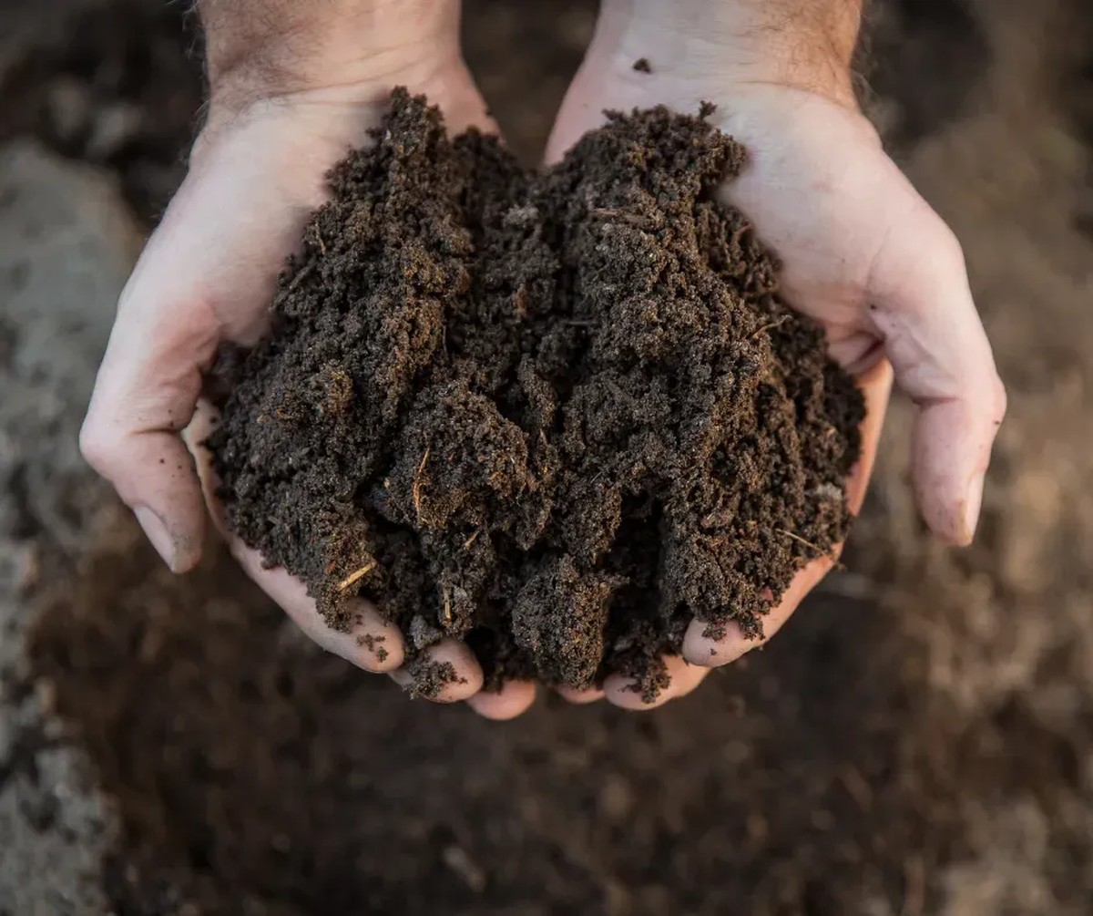 Gärtner warnen: Diese eine Zutat tötet deinen Gartenboden ab - image 1