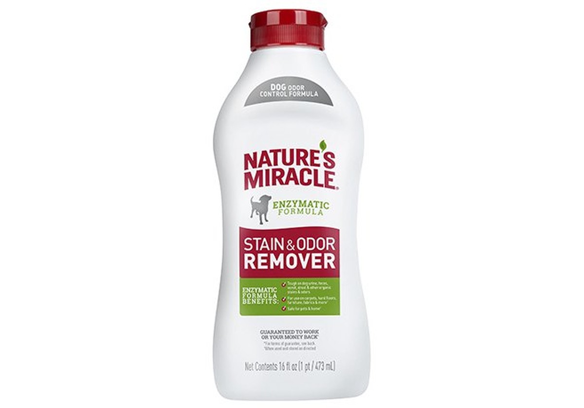 Kaffeesatz hinter die Heizung: Wie dieser Trick 40% der Geruchsprobleme löst - image 2