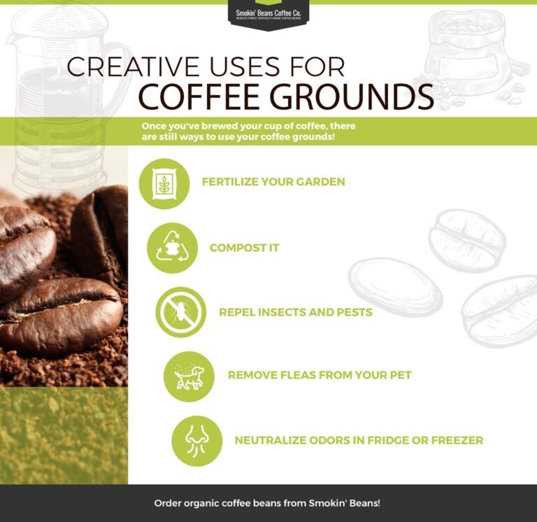 Kaffeesatz in der Küche: Warum Profis ihn nie wegwerfen