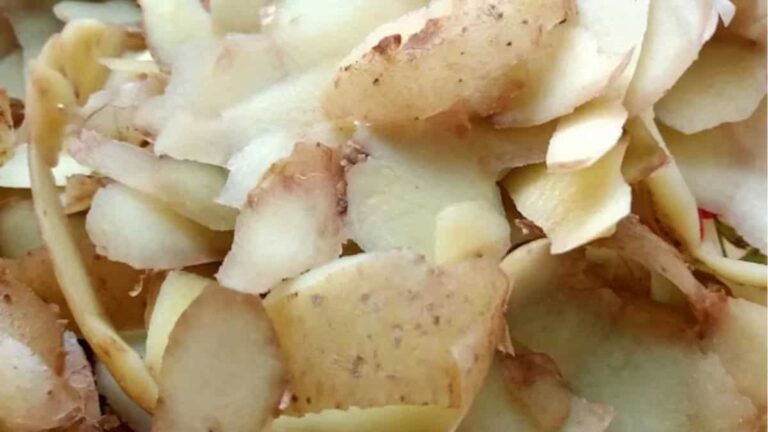 Kartoffelschale als Reiniger: Die unterschätzte Kraft der Stärkemoleküle