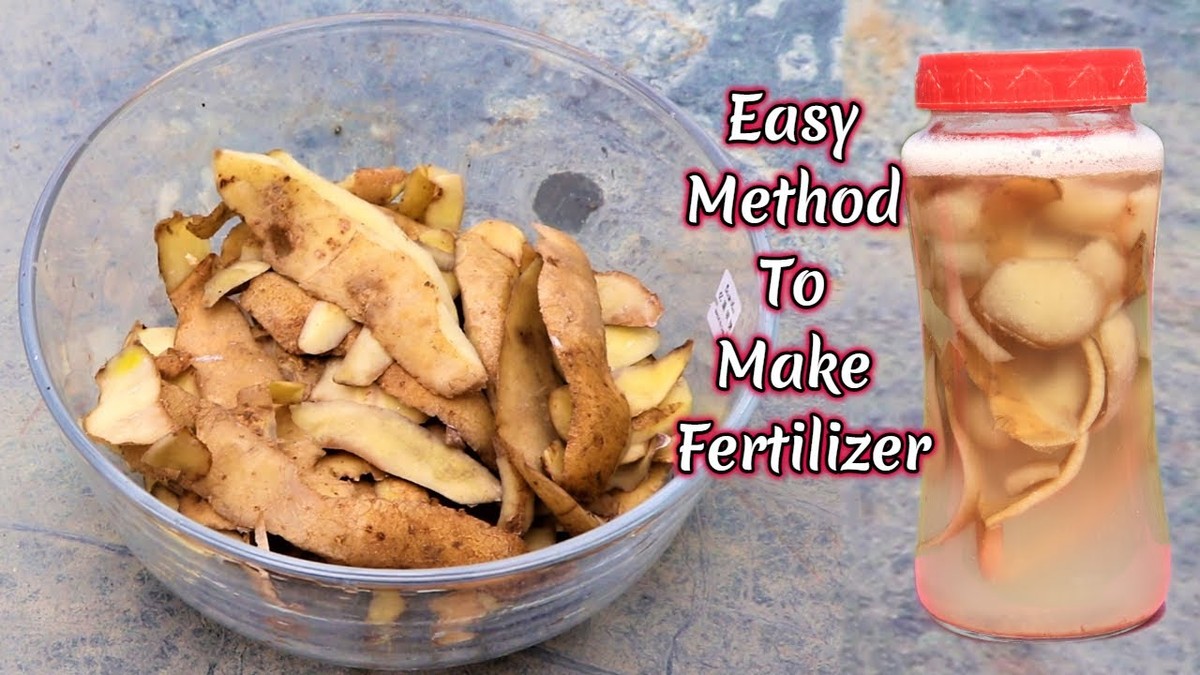 Kartoffelschalen als Dünger: Warum Gärtner sie niemals wegwerfen