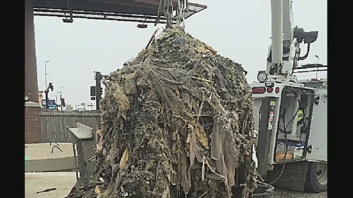 Klempner verraten: Niemals diese drei Dinge in den Abfluss - image 2