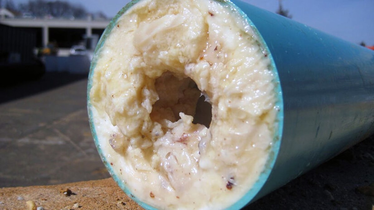 Klempner warnen: Dieses Öl verstopft die Rohre in 3 Monaten - image 1