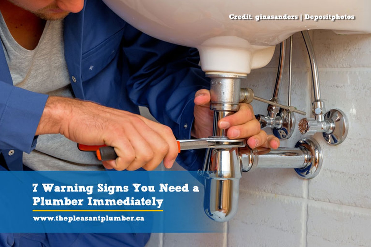 Klempner warnt: Diese 3 Dinge gehören niemals ins Klo - image 1