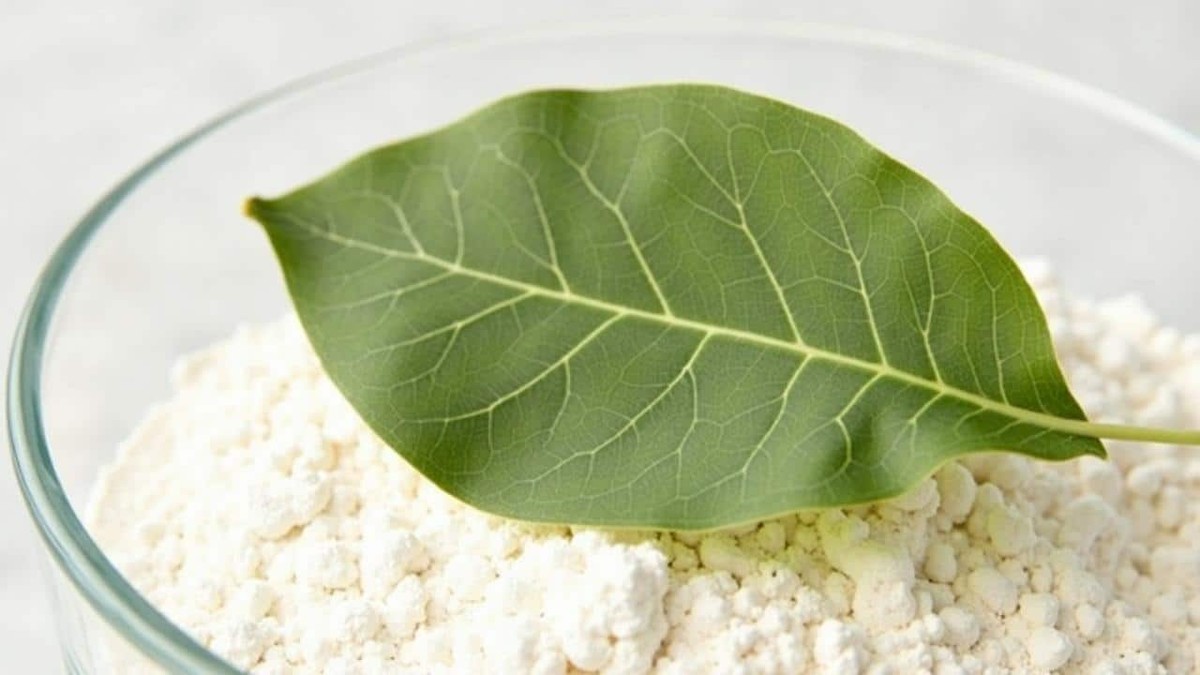 Lorbeerblatt im Mehl: Der 100 Jahre alte Trick gegen Ungeziefer - image 1