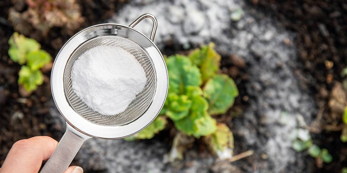 Natron auf dem Teppich: Die chemische Reaktion, die Gerüche eliminiert - image 2