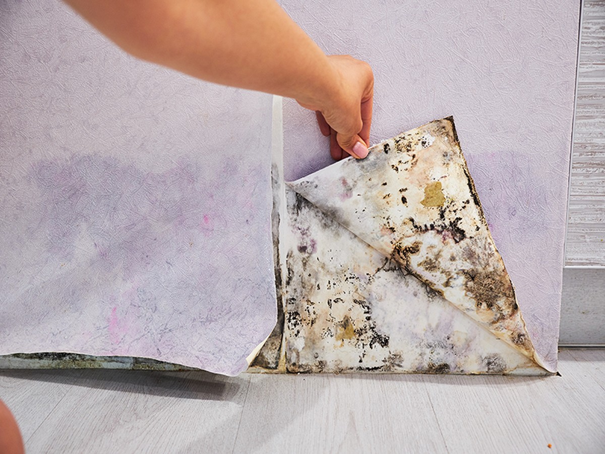 Plastikfolie über die Tapete: Der Trick gegen Schimmel an kalten Wänden - image 1