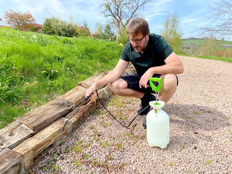 Salzwasser auf der Terrasse: Die alte Methode gegen hartnäckiges Unkraut