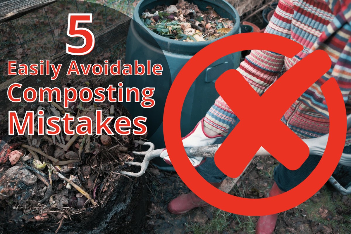 Was Gärtner niemals im Kompost werfen – und warum