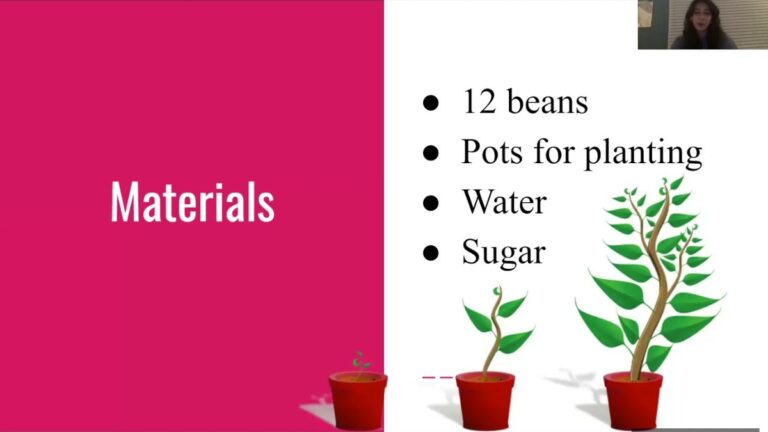 Würfelzucker im Blumentopf – die unterschätzte Lösung gegen Schädlinge