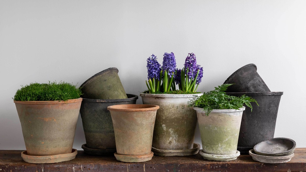 Zeitungspapier unter die Blumentöpfe: Warum Ihre Fensterbank nie wieder nass wird - image 2