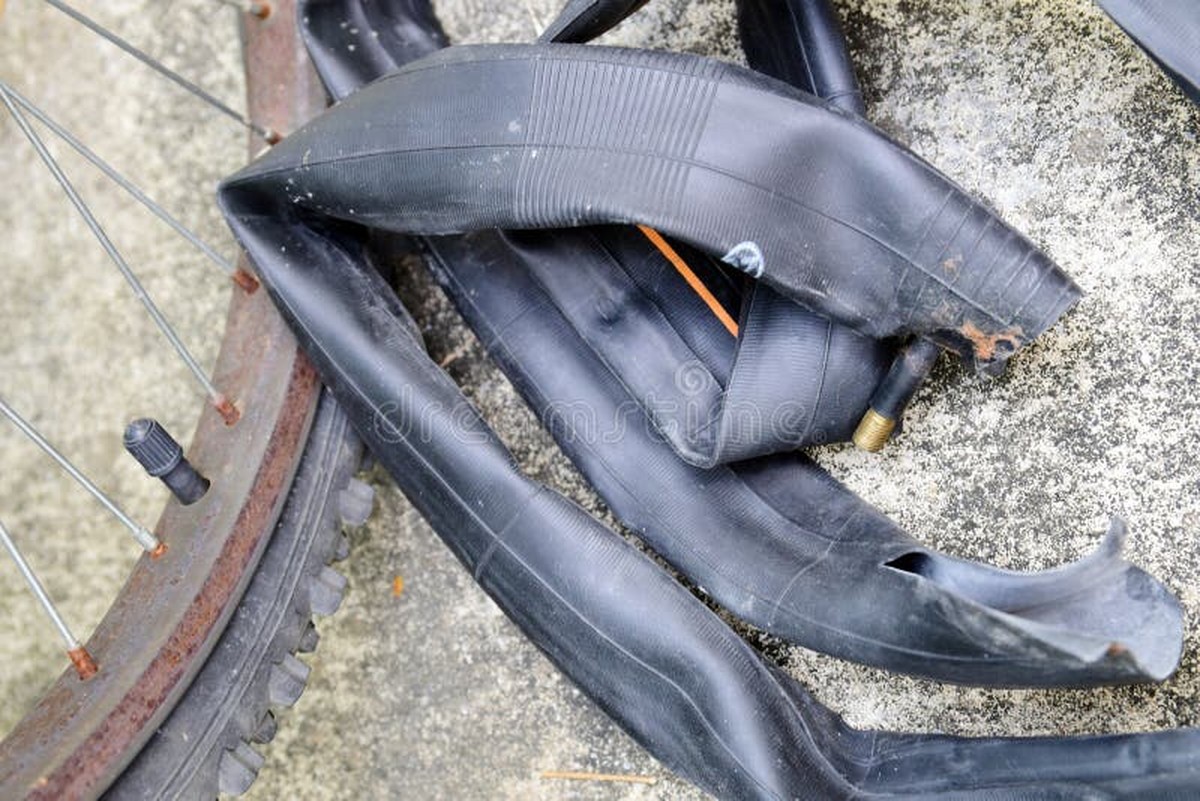 Altes Fahrradschlauch-Trick: Vom Rankgitter bis zur Pflanzenstütze