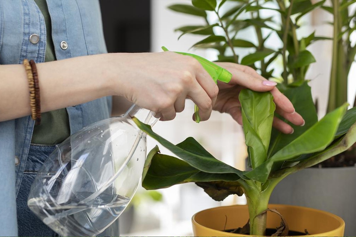 Essig im Gießwasser: Wie Ihre Pflanzen 40% schneller wachsen