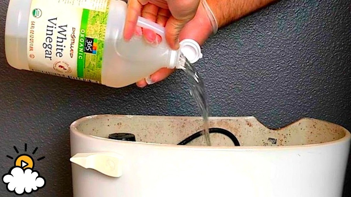 Essig und Backpulver in der Toilette: Das 10-Minuten-Wunder gegen Kalkstein