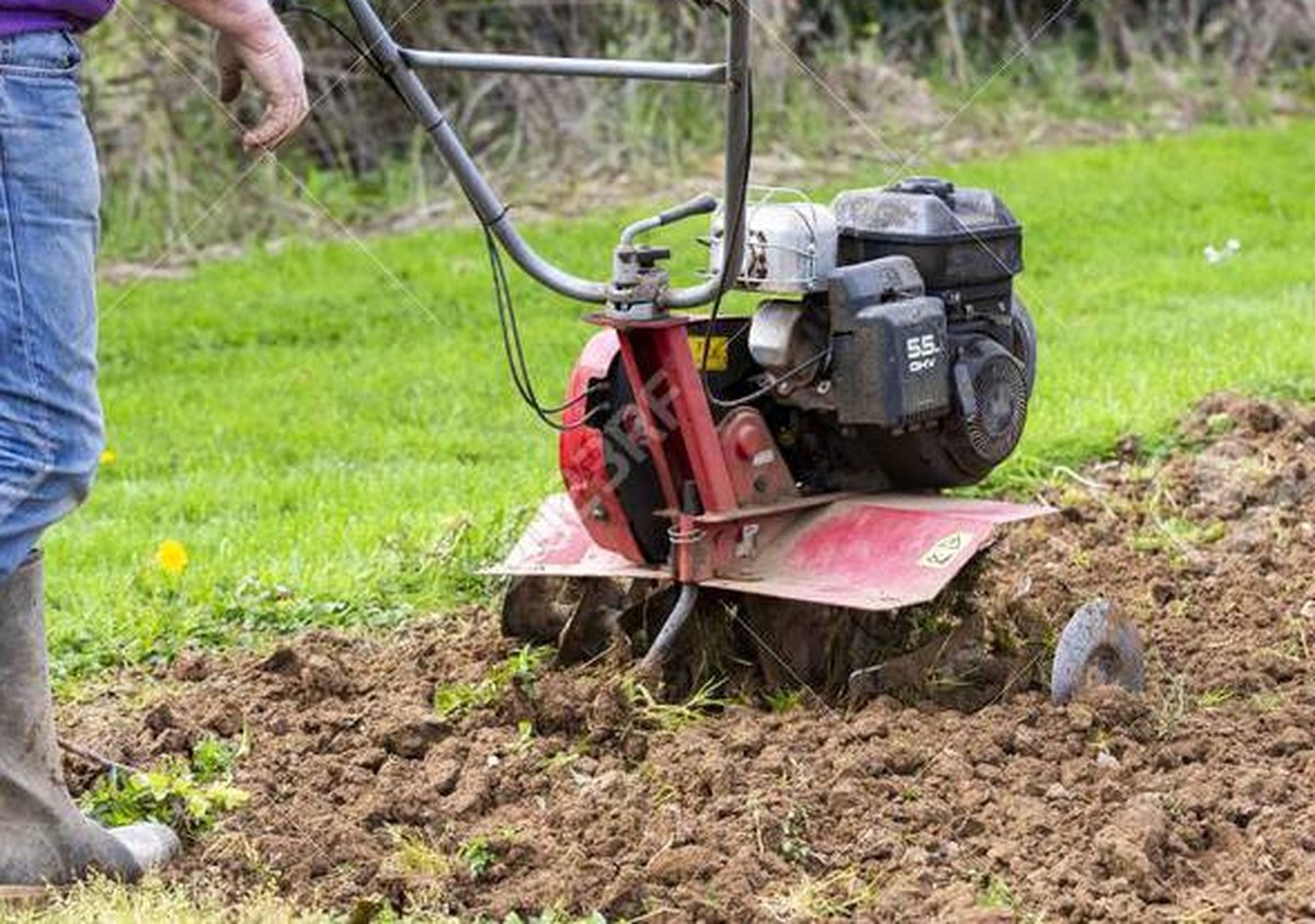 Gärtner verraten: Das eine Werkzeug, das 90% ihrer Arbeit erspart - image 1