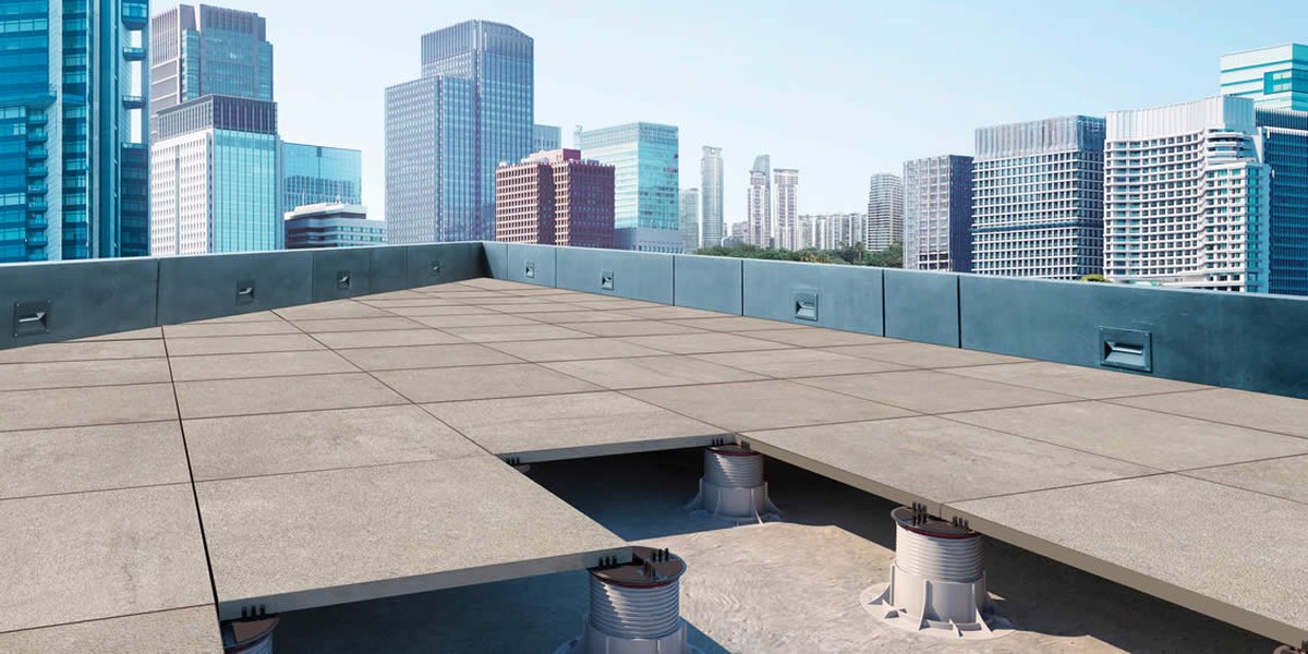 Gärtner warnen: Diese Pflanze zerstört Ihre Terrasse in zwei Jahren - image 2