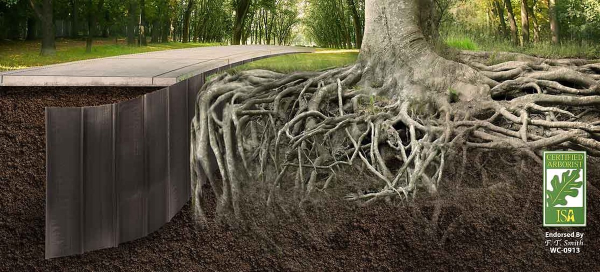 Gärtner warnen: Diese eine Pflanzstelle kostet dich den ganzen Garten - image 2