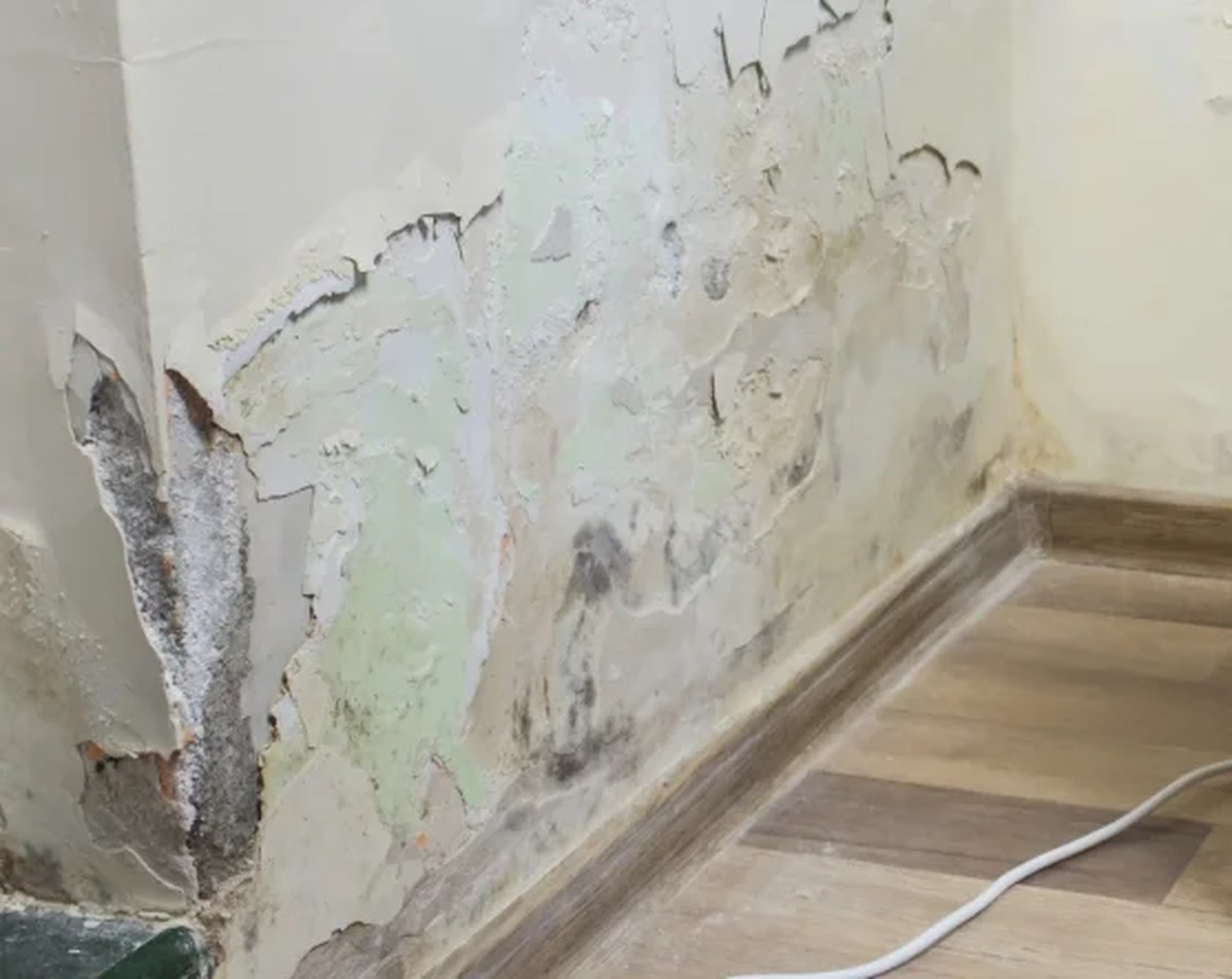 Handwerker warnen: Diese drei Fehler beim Duschen kosten Tausende - image 1