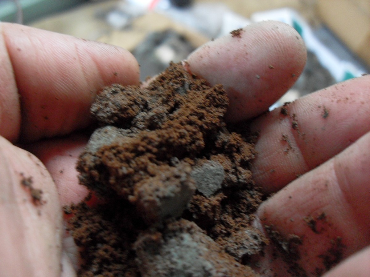 Kaffeesatz hinter die Heizung: Das Geheimnis gegen Schimmel im Winter - image 1