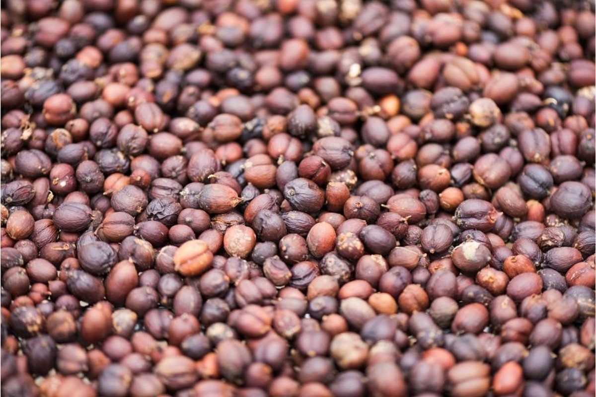 Kaffeesatz hinter der Heizung: Warum Ihr Schlafzimmer plötzlich frischer riecht - image 1