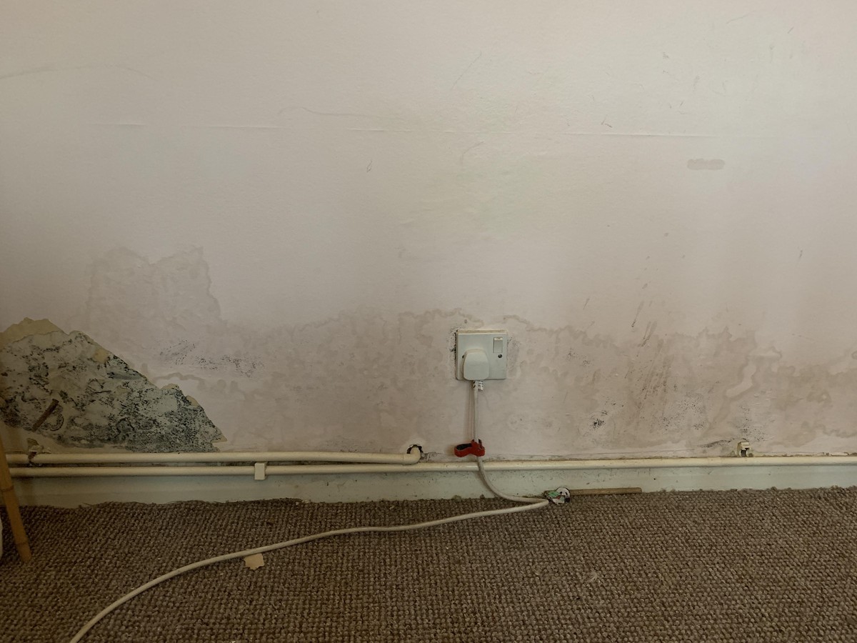 Kaffeesatz hinter dem Heizkörper: Warum Handwerker das Geheimnis hüten - image 2