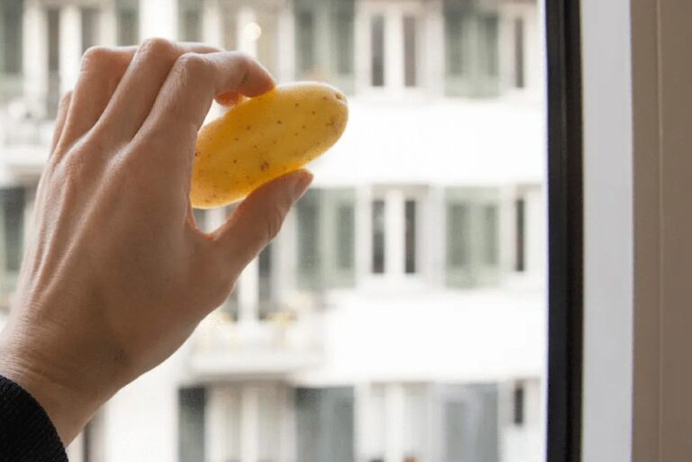 Kartoffelschalen für glänzende Fenster – der alte Gärtner-Trick funktioniert noch immer