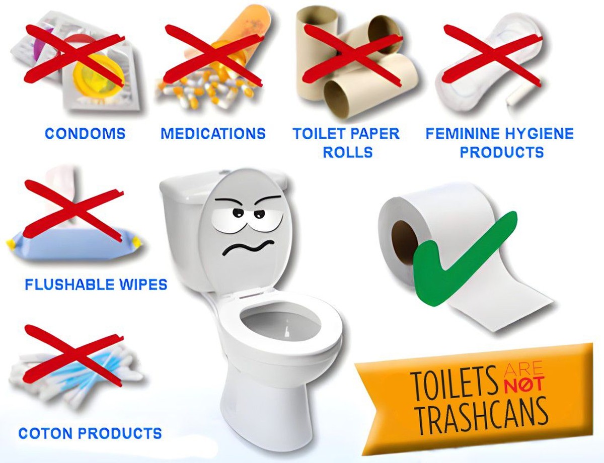 Klempner warnen: Diese fünf Dinge gehören niemals ins Klo - image 1