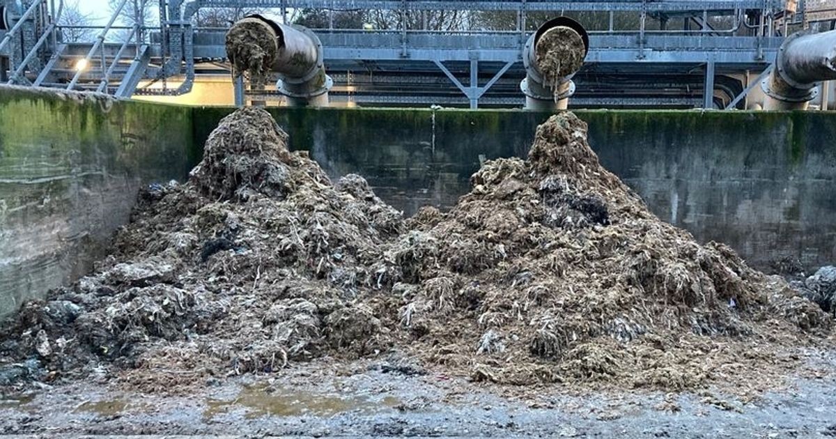 Klempner warnen: Diese 3 Dinge gehören niemals in den Abfluss - image 2