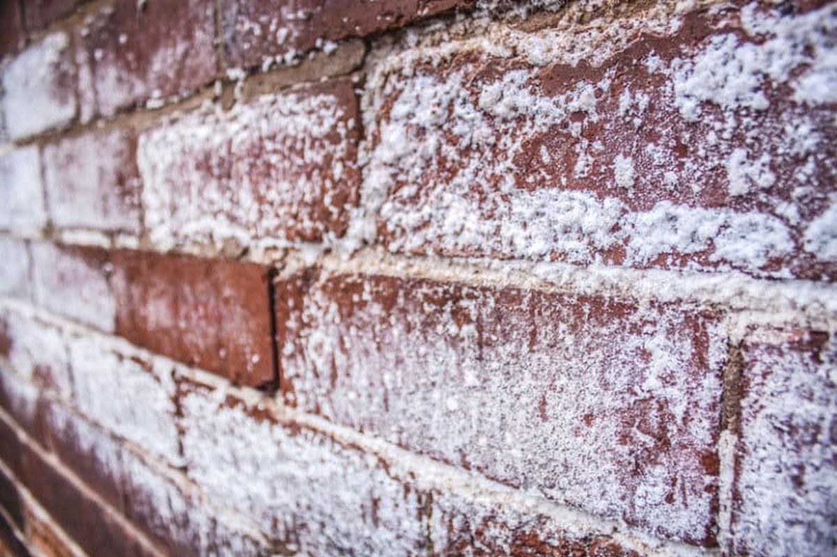 Salz auf feuchten Wänden streuen – das Geheimnis der Restauratoren